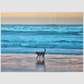 Happy Dog en Reflectie op het strand bij zonsonder Tissuepapier (Voorkant)