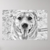 Happy Dog face poster print (Voorkant)