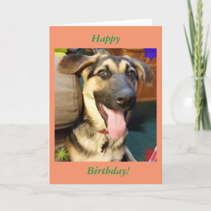 Happy Dog German Shepherd Birthday Card Kaart