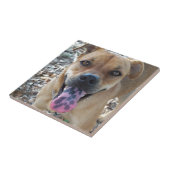 Happy Dog gevlekte tong Tegeltje (Zijkant)