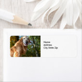 Happy Dog Golden Retriever / Retouradreslabels Etiket (Insitu)