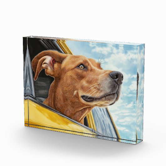 Happy Dog in Yellow Car Art Print Fotoblokken (Rechts)