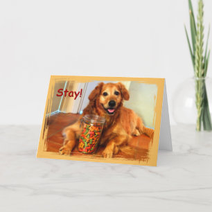Happy Dog met Quarantine-behandelkaart Kaart