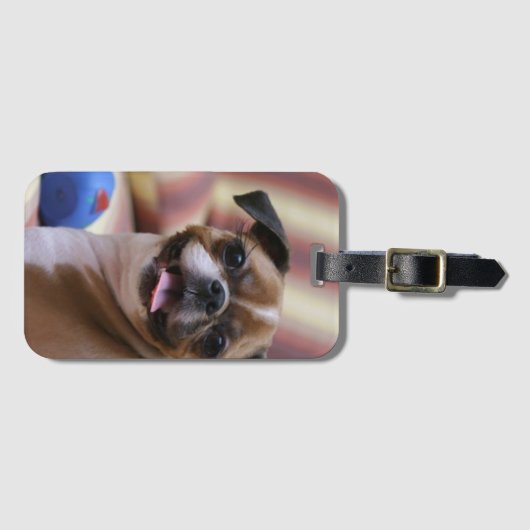 Happy Dog met Speelgoed Bagagelabel (Voorkant (horizontaal))