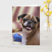 Happy Dog met Speelgoed Kaart (Gele Bloem)