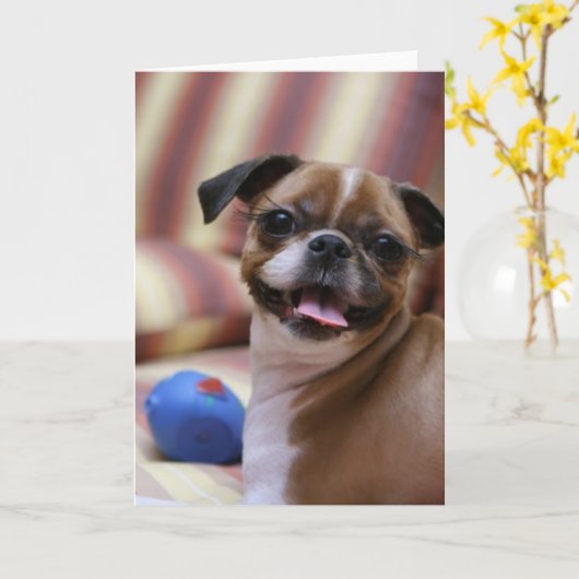 Happy Dog met Speelgoed Kaart (Gele Bloem)