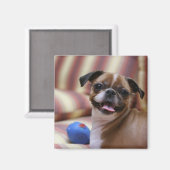 Happy Dog met Speelgoed Magneet (Voorkant / Achterkant)