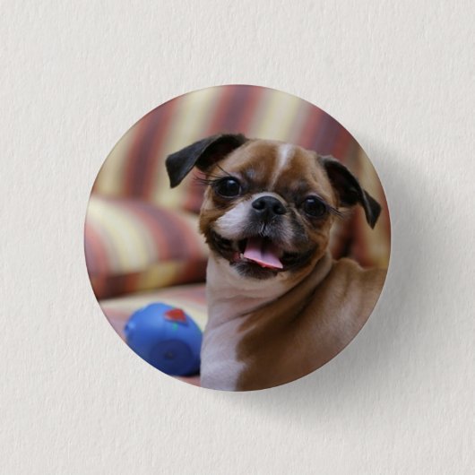 Happy Dog met Speelgoed Ronde Button 3,2 Cm (Voorkant)