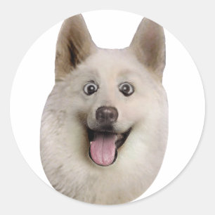 Happy_Dog_Mult_Producten Ronde Sticker