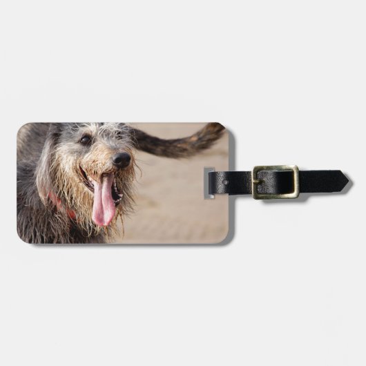 Happy dog op het strand bagagelabel (Voorkant horizontaal)