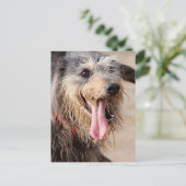 Happy dog op het strand briefkaart (Staand voorkant)