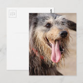 Happy dog op het strand briefkaart (Voorkant / Achterkant)