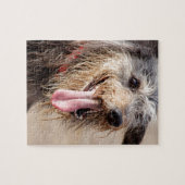 Happy dog op het strand legpuzzel (Horizontaal)