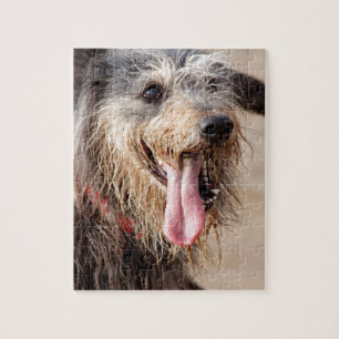 Happy dog op het strand legpuzzel