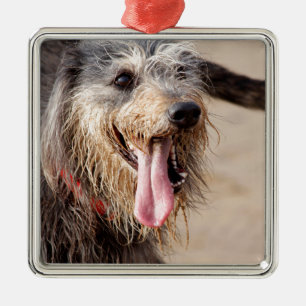 Happy dog op het strand metalen ornament