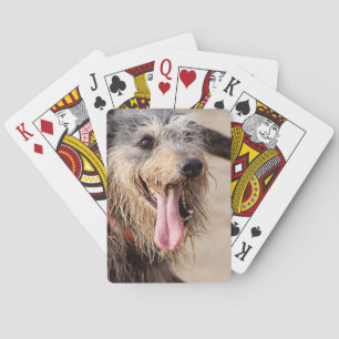 Happy dog op het strand pokerkaarten