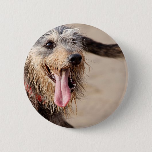 Happy dog op het strand ronde button 5,7 cm (Voorkant)