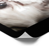 Happy Dog Poster (Hoek)