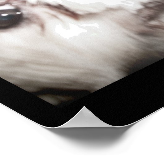 Happy Dog Poster (Hoek)