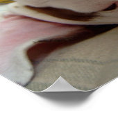 Happy Dog Print (Hoek)