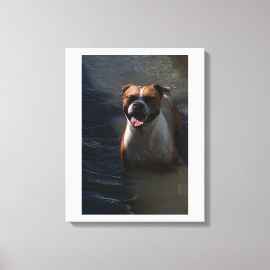 Happy Dog Swimming Canvas Afdruk (Voorkant)