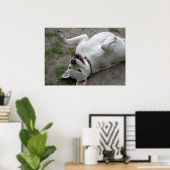 Happy Dogo Argentino Girl Poster (Thuiskantoor)
