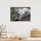 Happy Dogo Argentino Girl Poster (Keuken)
