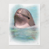 HAPPY DOLPHIN BRIEFKAART (Voorkant)