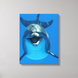 Happy Dolphin Canvas