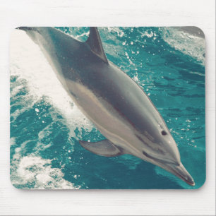 Happy Dolphin Muismat