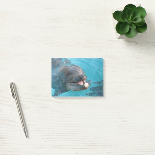 Happy Dolphin Post-it® Notes (Kantoor)