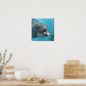 Happy Dolphin Poster (Keuken)
