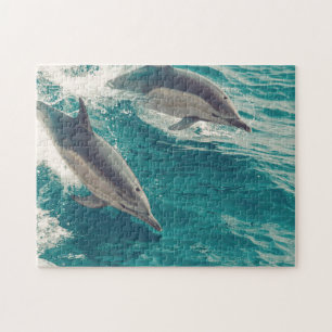 Happy Dolphins Legpuzzel