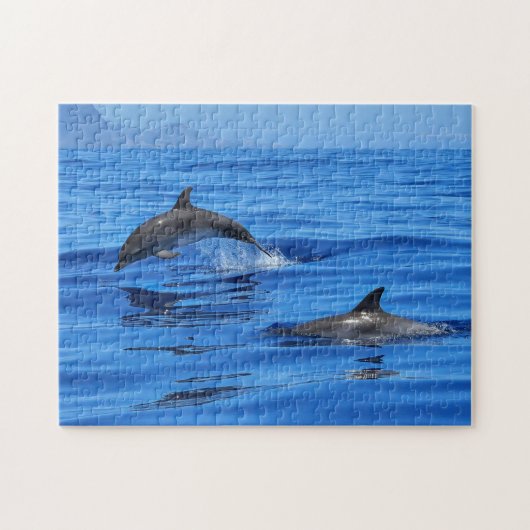 Happy Dolphins Legpuzzel (Horizontaal)