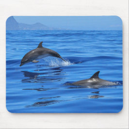 Happy Dolphins Muismat