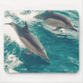 Happy Dolphins Muismat