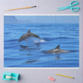 Happy Dolphins Tissuepapier (Craft)