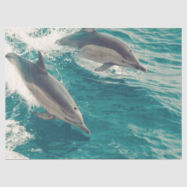 Happy Dolphins Tissuepapier
