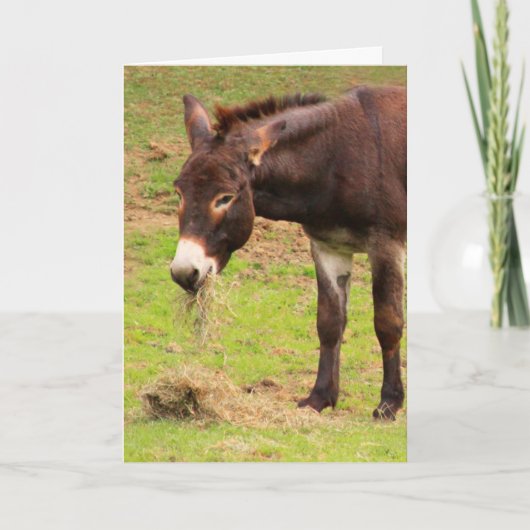 Happy Donkey Birthday Kaart (Voorkant)