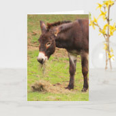 Happy Donkey Birthday Kaart (Gele Bloem)