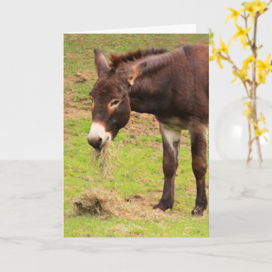 Happy Donkey Birthday Kaart (Gele Bloem)