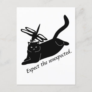 Happy Dragonfly, Angry Cat Verwacht het onverwacht Briefkaart