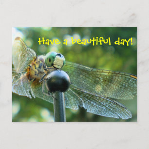 Happy Dragonfly Briefkaart