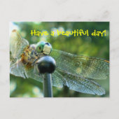 Happy Dragonfly Briefkaart (Voorkant)