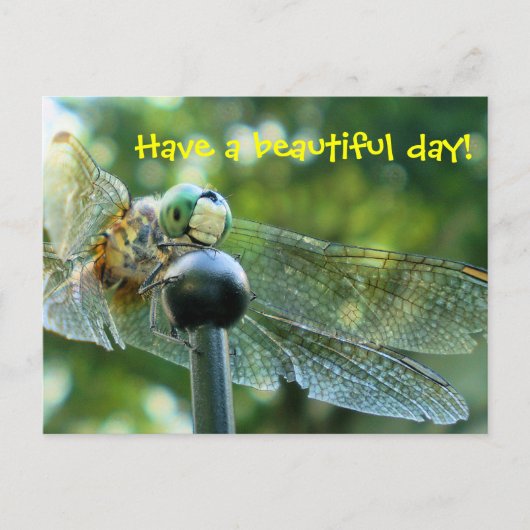 Happy Dragonfly Briefkaart (Voorkant)