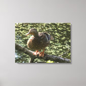 Happy Duck Canvas Afdruk (Voorkant)