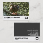 Happy Duck Visitekaartje (Voorkant / Achterkant)