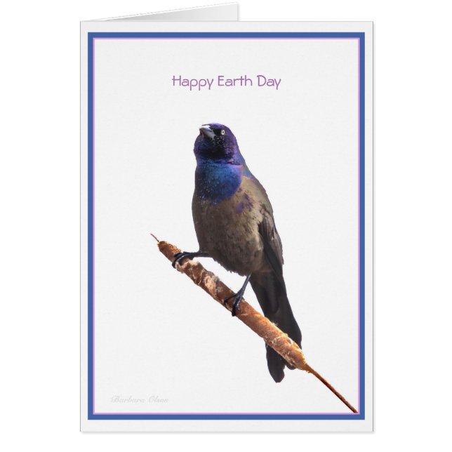 Happy Earth Day: Common Grackle (Voorkant)