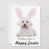Happy Easter Anyone Dog Bunny Flat Holiday Card Feestdagenkaart (Voorkant)