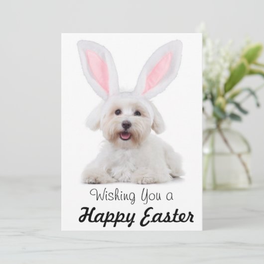 Happy Easter Anyone Dog Bunny Flat Holiday Card Feestdagenkaart (Staand voorkant)